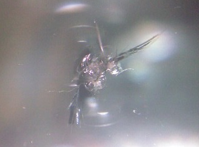 しっかり直します